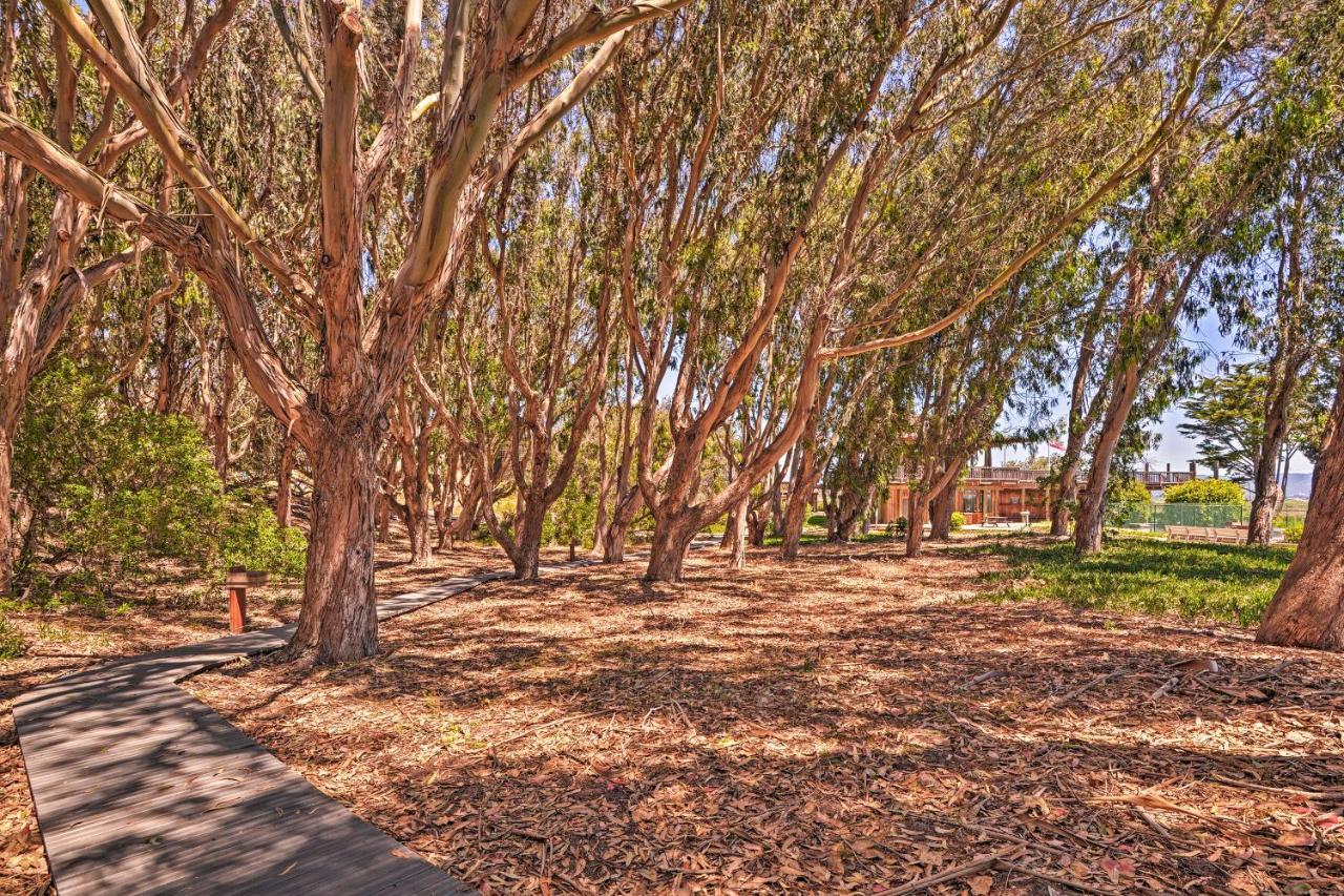 Beachfront Condo With Monterey Bay Views! Watsonville Dış mekan fotoğraf
